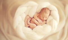 ���к����Ԥ�����¼��ּ���' /></a></div>
		<div class=