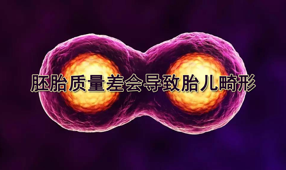 胚胎质量差会导致胎儿畸形